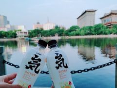 -文瀛公园