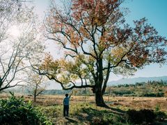 -塔川景区