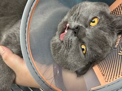 -王允海动物医院(中央大街店)