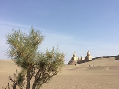 -镇北堡西部影城