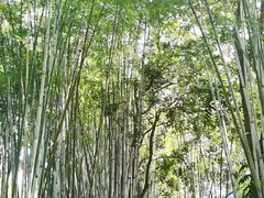 -林丰温泉度假山庄