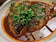-食家鸽园