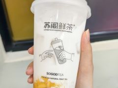 多肉芒芒椰子-苏阁鲜果茶(虎门君乐汇店)