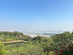 -广州莲花山旅游区