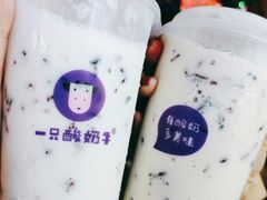 -一只酸奶牛(八一路店)