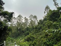 -火炉山森林公园