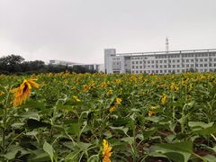 -南京信息职业技术学院