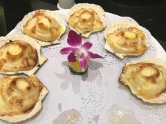 -新南华大酒店(广中店)