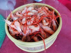 蒸河虾-荣兴河鲜楼