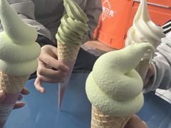 -萨朗刀克冰淇淋雪花凉(植物园店)