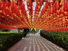 -大槐树寻根祭祖园