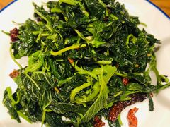 炝拌山野菜-海富荣·锅贴·陕菜家常菜(阳光城店)