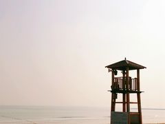 -日照海滨国家森林公园