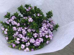 -皇城老妈·大连海鲜火锅(港湾店)