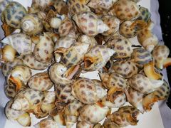 -顺德了能馆(虎门店)