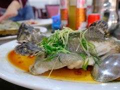 -蚝专家(北滘店)
