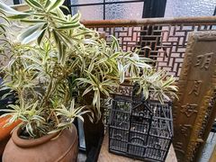 -古董花园(思南路42弄小区店)