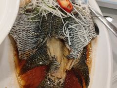 清蒸宝石斑-海宝酒家(中山四路店)
