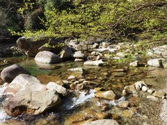 -大鄣山卧龙谷景区