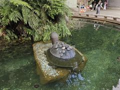 -鼎湖山风景区