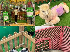 -开元商城(西旺店)