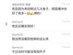 -多乐狗狗宠物训练工作室