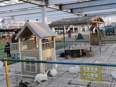 -南宫五洲植物乐园