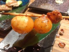 -酒窝烧鸟(科华街店)