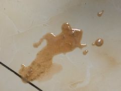 -北京赛佳动物医院