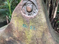 -呀诺达热带雨林