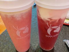 -重庆烧鸡公火锅(簋街店)