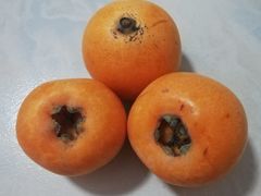 -枇杷沟农家乐·柴火鸡
