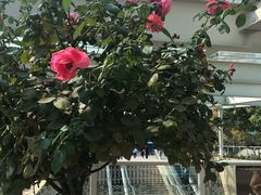 -UNI UNI(环亚凯瑟琳店)