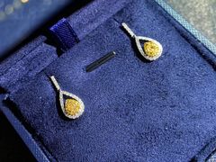 -志龙皇冠吃货椰子铺