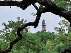 -江心屿景区