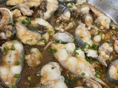 -黄家菜园农庄