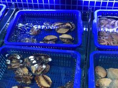 -必点海鲜·鲅鱼水饺(鞍山西道店)