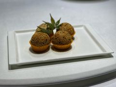 麻球-西郊壹号