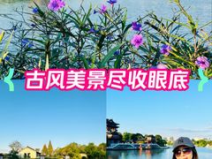 -凤城河风景区