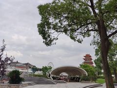 -奉贤海滩