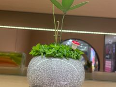-海底捞火锅(振华商厦店)