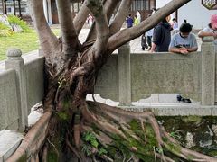 -墨池公园