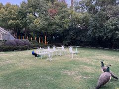 -J Create城市露营咖啡·简餐·宠物(上海动物园店)