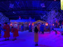 -圣名游乐城冰雪大世界