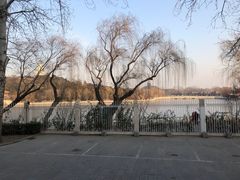 -国家图书馆·古籍馆