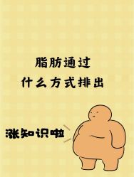 -Fundi张玉珊修身堂·indiba·BTL科技瘦身