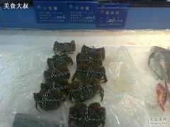 大闸蟹-海中洲渔社