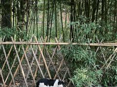 -天津市动物园