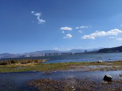 -洱海月湿地公园
