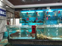 水产区-海大大蒸汽海鲜餐厅·粤菜·特色小炒(欢乐颂店)